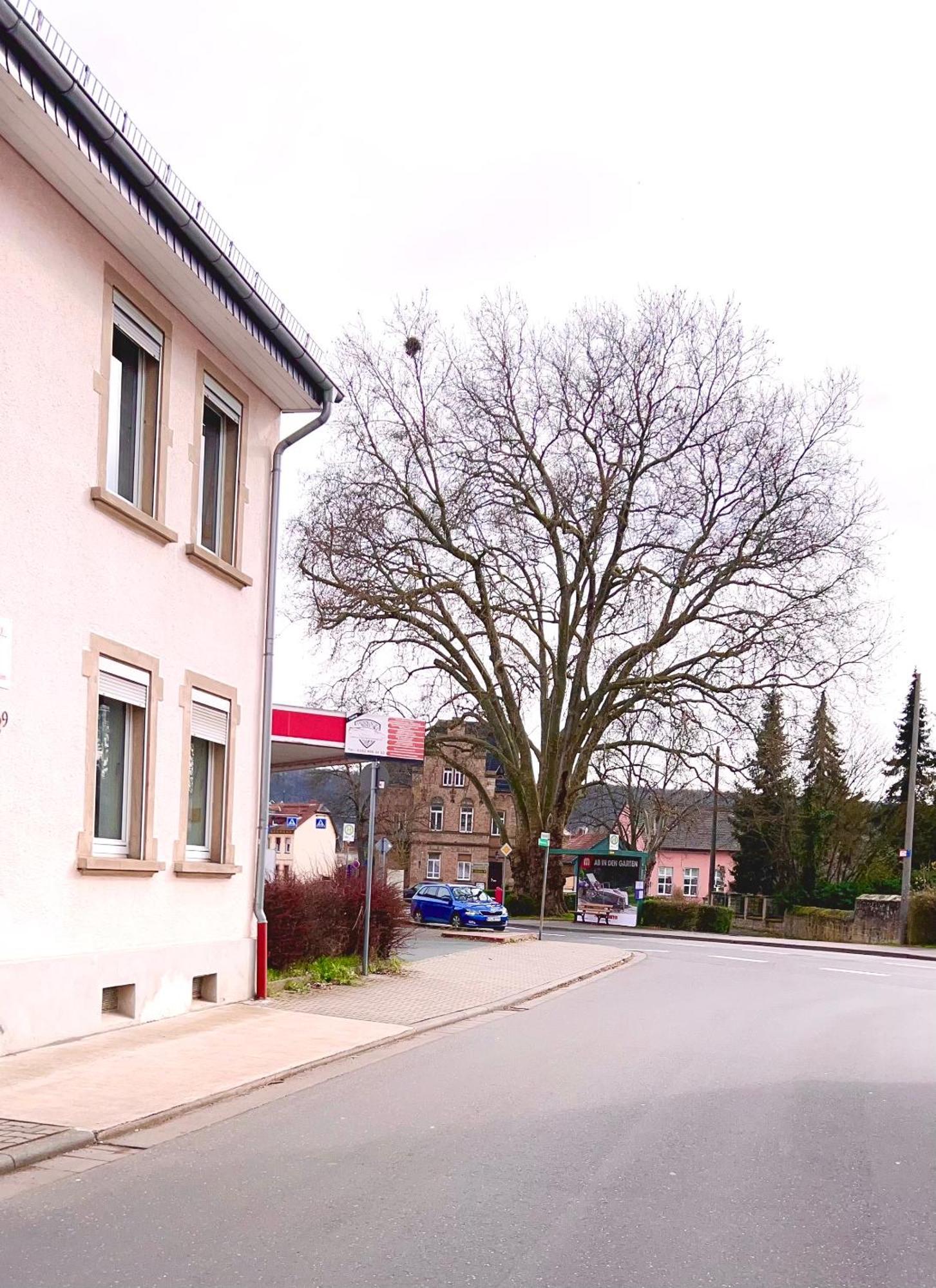 באד סוברנהיים Vinaring Homestay מראה חיצוני תמונה